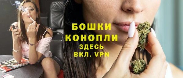 прущие грибы Балабаново