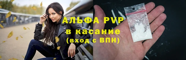 прущие грибы Балабаново