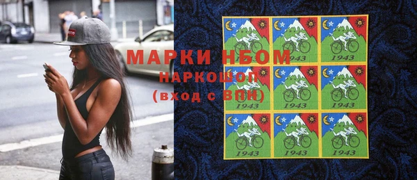 прущие грибы Балабаново