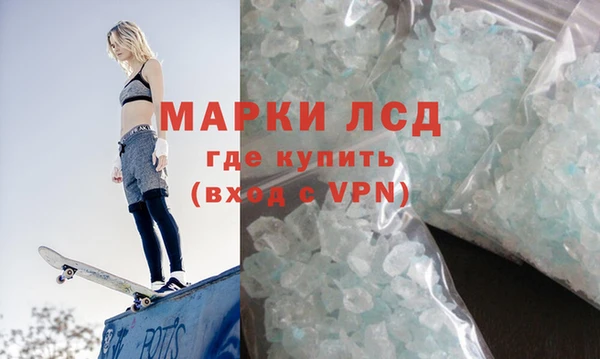 прущие грибы Балабаново
